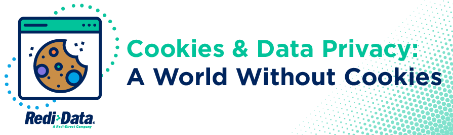 Cookies and Data Privacy: A World Without Cookies